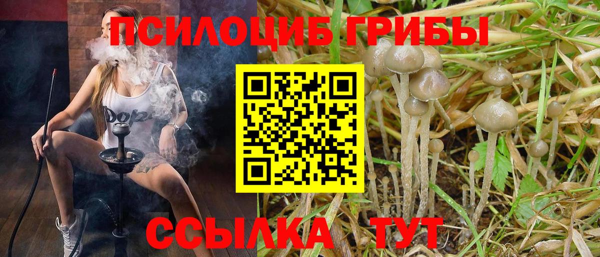 Туапсе  Галлюциногенные грибы мухоморы  Вход с VPN 