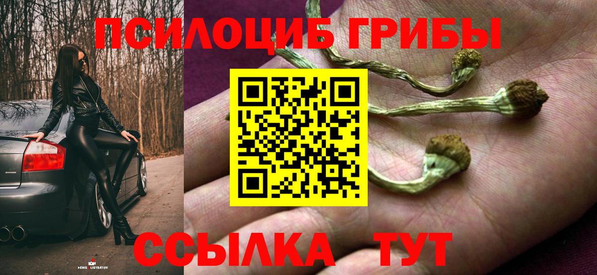 Галлюциногенные грибы GOLDEN TEACHER Туапсе